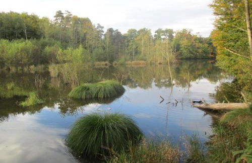 Gîte en pleine nature avec Wifi, animaux acceptés - FR-1-489-122 - Foto 23