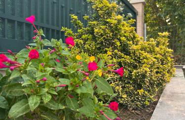 Vergia Coast - Foto 44