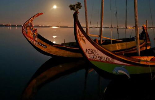 Casa Praia e Ria - Foto 52