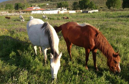 Hotel Rural Finca La Herencia - Foto 35