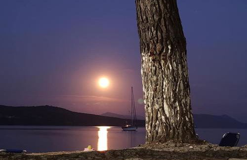 Flisvos Seaside Apartments - Foto 78