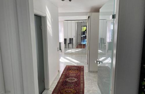 Excl Ferienwohnung im Dreiländereck D-F-CH mit beheiztem kl Pool zum Schwimmen und Massieren - Foto 18