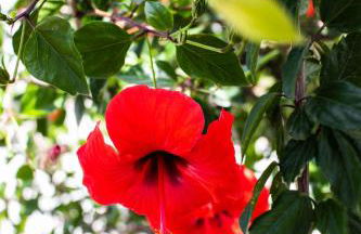 Maestralia - Photo 24