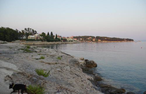 Holiday Home Nevista - Photo 80