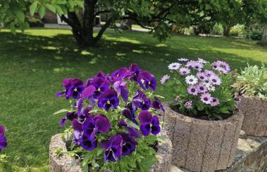 Ferienwohnung Thomée - Ruhig gelegen, ideal für Monteure und Erholungssuchende - Foto 19