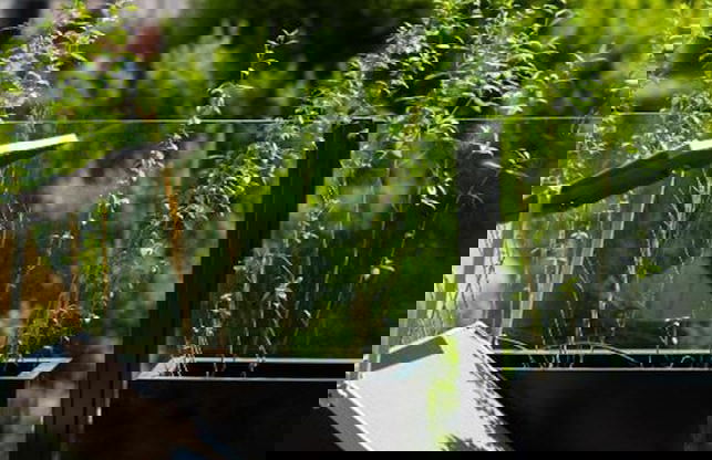 Abieshomes Serviced Apartments - Schönbrunn - Foto 36