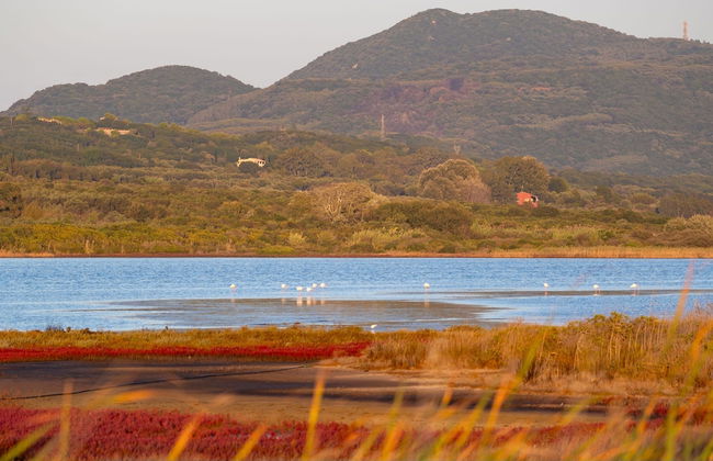 Villa Persephone in Corfu - Foto 24