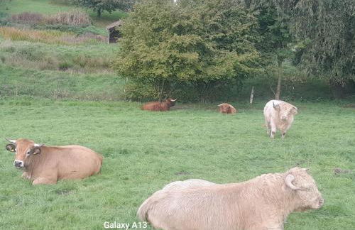 Idyllic apartment in Bavaria, near Munich, Freising, Erding - Foto 12