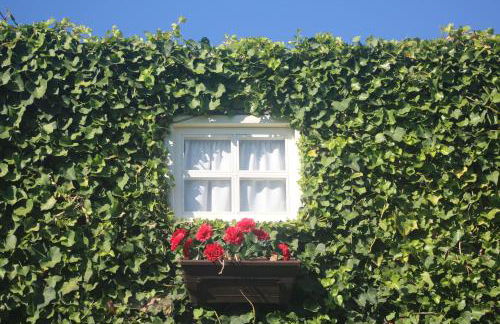 Casa do Moinho - Foto 18