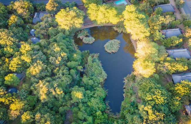 Bush Villas on Kruger - Photo 27