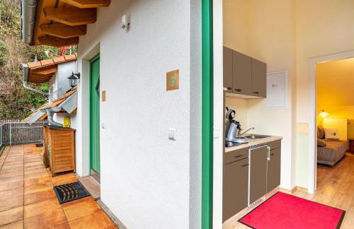 SCHUSTERjunge Aparthotel I Zentral I Studio Apartments I Küche & Bad I Parkplatz - Foto 125