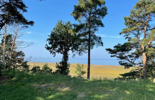 Domki na Skarpie - Wypoczynek z widokiem na Zalew - Frombork - Foto 33