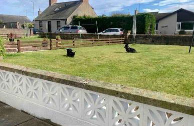 Life’s a Beach, MONTROSE SCOTLAND - Photo 17