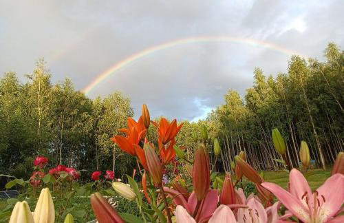 Siedlisko MiłoBrzózka - Photo 25