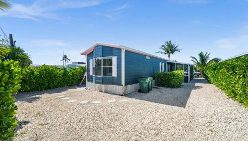 Navy Flamingo - Foto 2