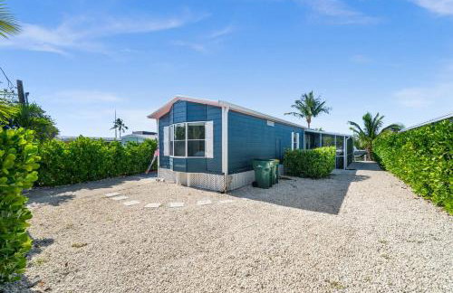 Navy Flamingo - Foto 2