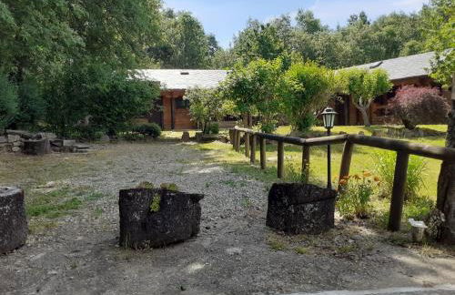 La Albarina - Foto 25