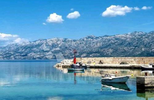 Apartman "Flower Garden" - Foto 29