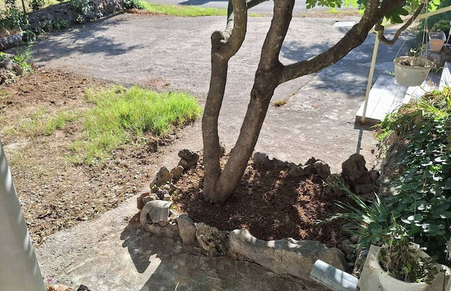 Apartment Renchy Seline - Foto 13