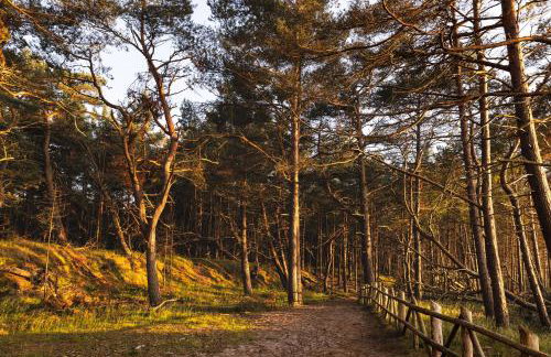 Dymnica 5- dom wakacyjny blisko Sasina i Łeby - Foto 55