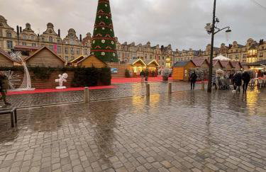 Joli appartement au pied du beffroi - Foto 26
