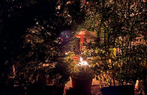 Haus Pia Executive Suites - Foto 30