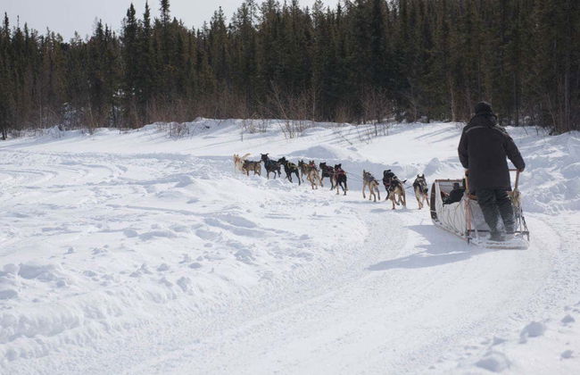 Paseo en trineo de perros husky - Foto 1