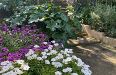 CA'N MARC (CHARMING HOUSE CENTER ISLAND) - Foto 48