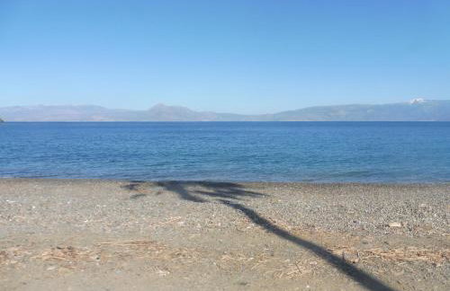 Palm tree house by the beach - Foto 50