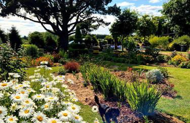 gîte en campagne Lamégritnière - Foto 25