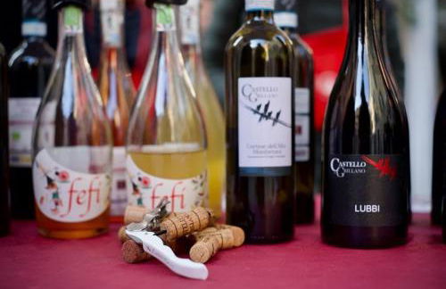 Castello di Grillano Guest House - Foto 65