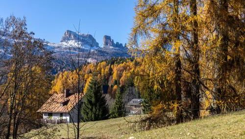 Cortina - Chalet Pocol 22 - Foto 2