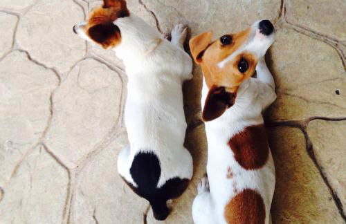 La Locanda Del Tevere - Foto 48