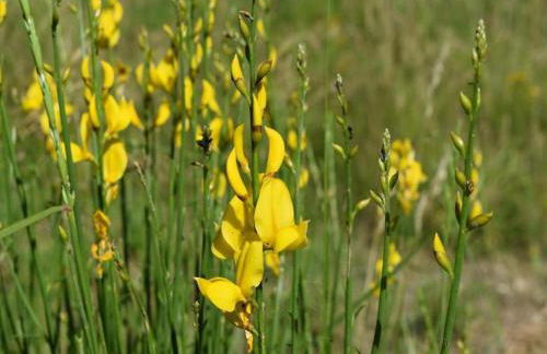 Farmhouse in Giano dell'Umbria - Foto 40