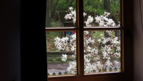 Ferienwohnung "Specker Krug" - Foto 5