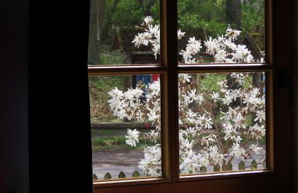 Ferienwohnung "Specker Krug" - Foto 5