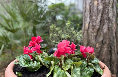 Villa Amedea - Foto 53