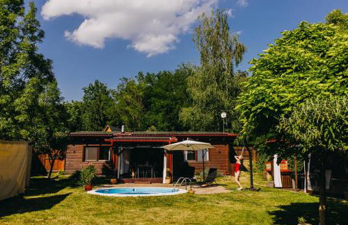 Holiday Home Arcadia with pool, hot tub and sauna - Foto 9