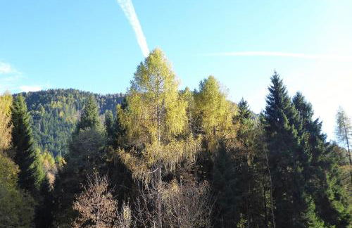 Baita Genzianella - Foto 36