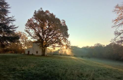 Domaine de la Borde - Foto 48