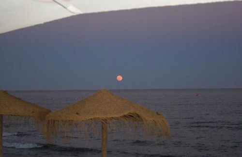 Apartamentos La Dorada - Photo 15