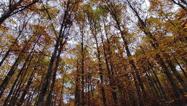 Tour della valle dell'Ambroz in 4x4 - Foto 4, La Valle di Ambroz nel suo splendore