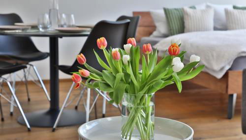 Moderne Studio-Wohnung - Lichtblick - Foto 3