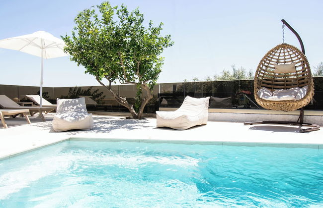 Olive Tree - Foto 27