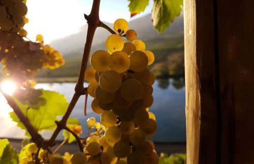 Ferienwohnung Fritzer - Foto 16