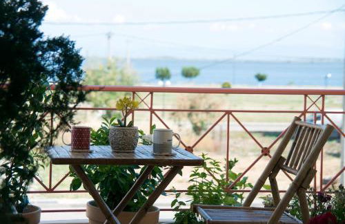 Sealake View - Photo 17