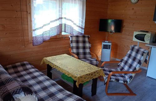 Domek letniskowy w Nadolu nad jeziorem Żarnowieckim - Foto 13