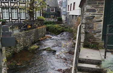 Ferienwohnung in Waldrandlage in Nationalpark Schleiden / Eifel - Foto 48
