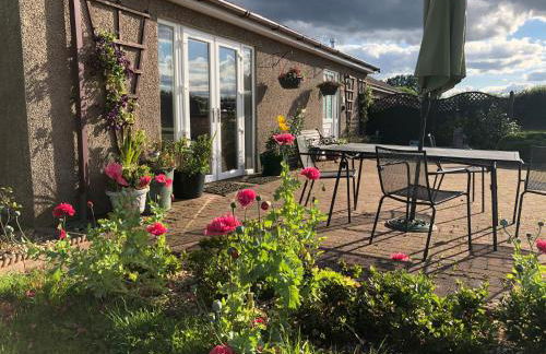 Blackthorn Meadow - Photo 7