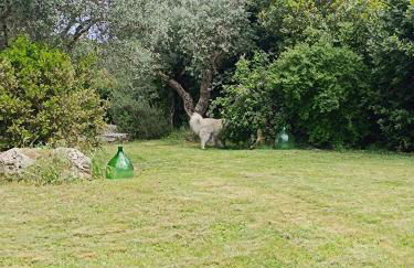 Trullo Galeotto - Foto 33